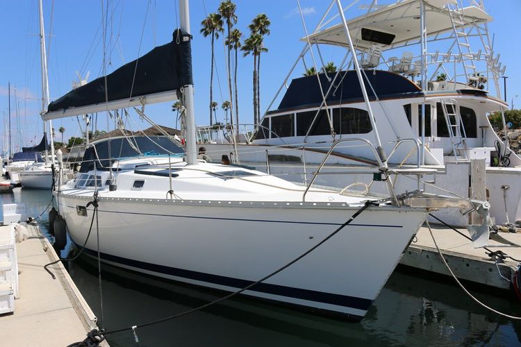 HUNTER LEGEND 37.5