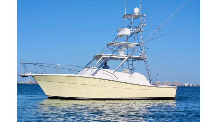 2006 Topaz Express Cruiser