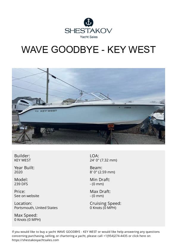 Wave Goodbye - 239 DFS - 2020