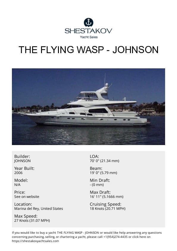 The Flying Wasp - undefined - 2006