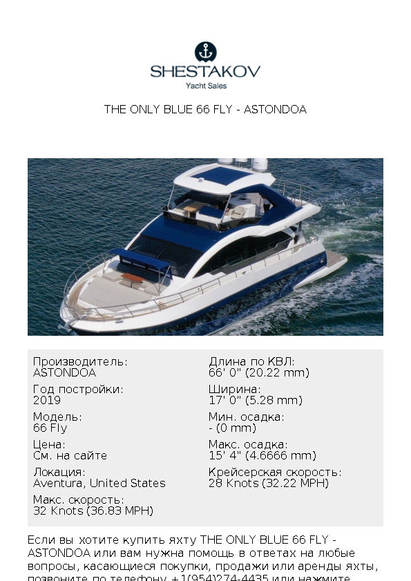 The Only Blue 66 Fly - 66 Fly - 2019