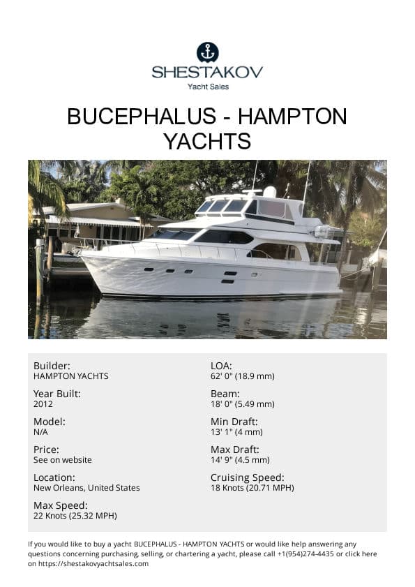 Bucephalus - undefined - 2012