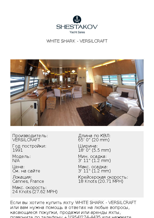 White Shark - undefined - 1991