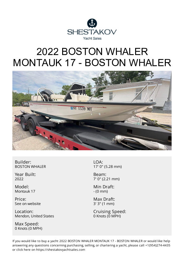 2022 Boston Whaler Montauk 17 - Montauk 17 - 2022