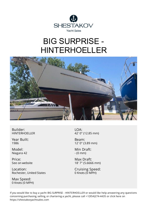 Big Surprise - Niagara 42 - 1986