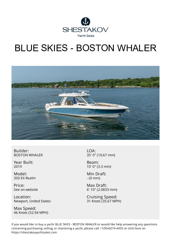 BLUE SKIES - 350 EX Realm - 2019