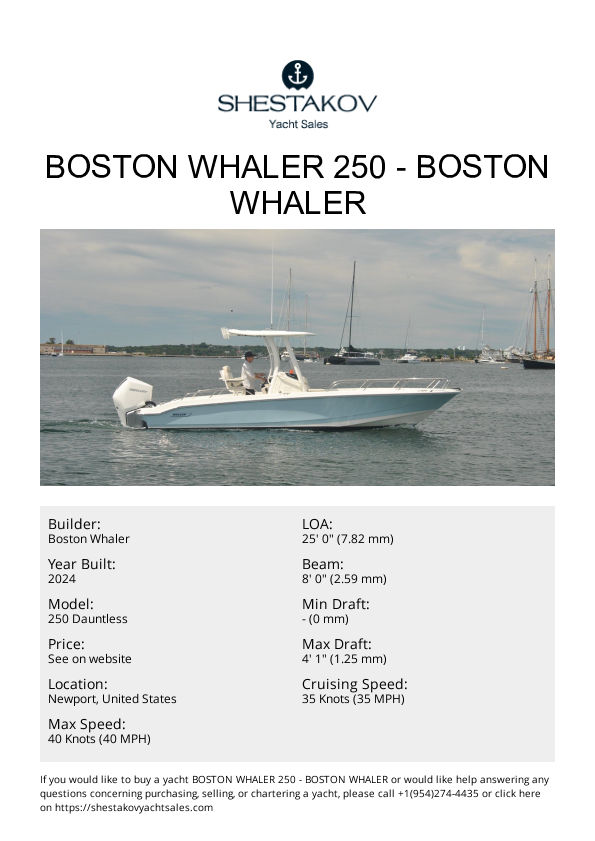 Boston Whaler 250 - 250 Dauntless - 2024