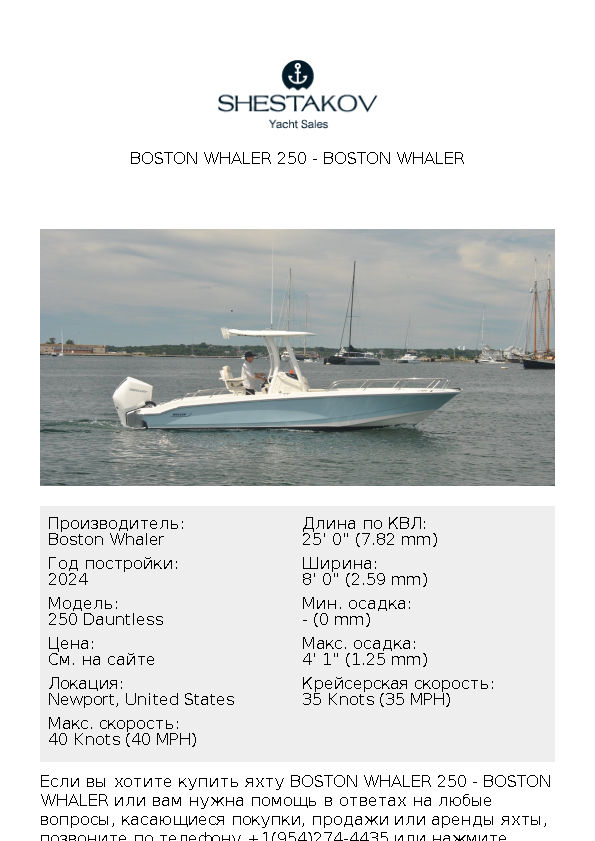 Boston Whaler 250 - 250 Dauntless - 2024