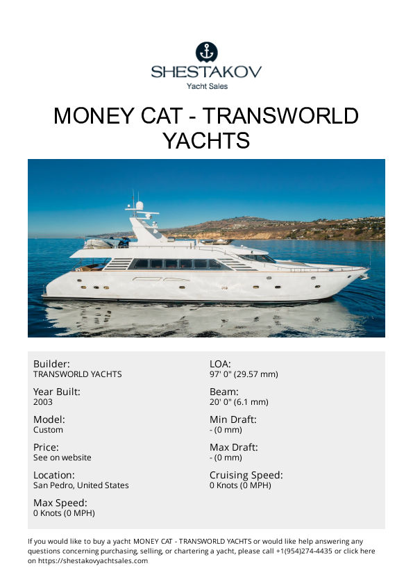 Money Cat - Custom - 2003