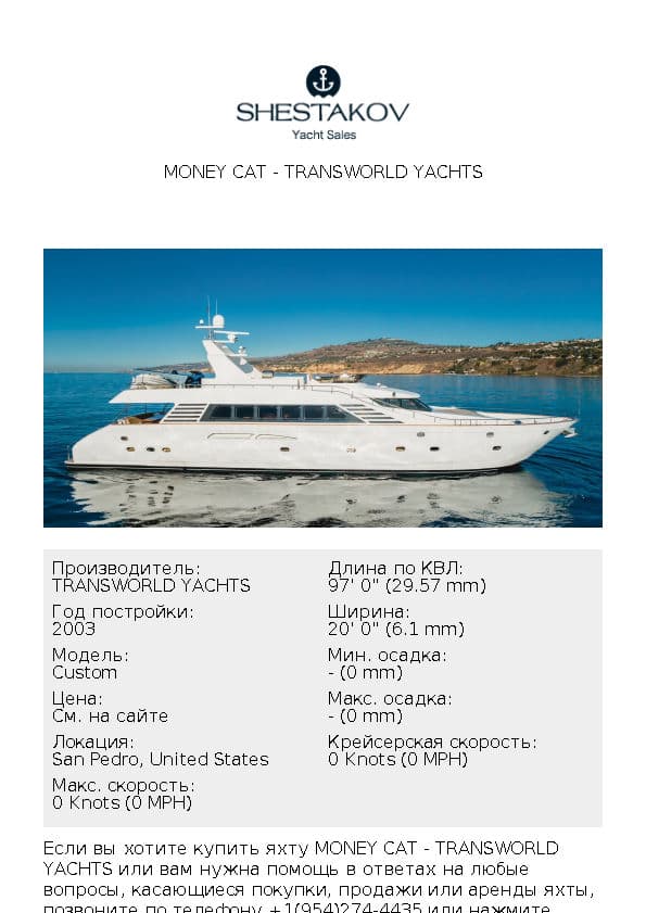 Money Cat - Custom - 2003