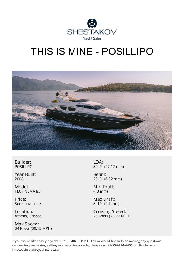 THIS IS MINE - TECHNEMA 85 - 2008