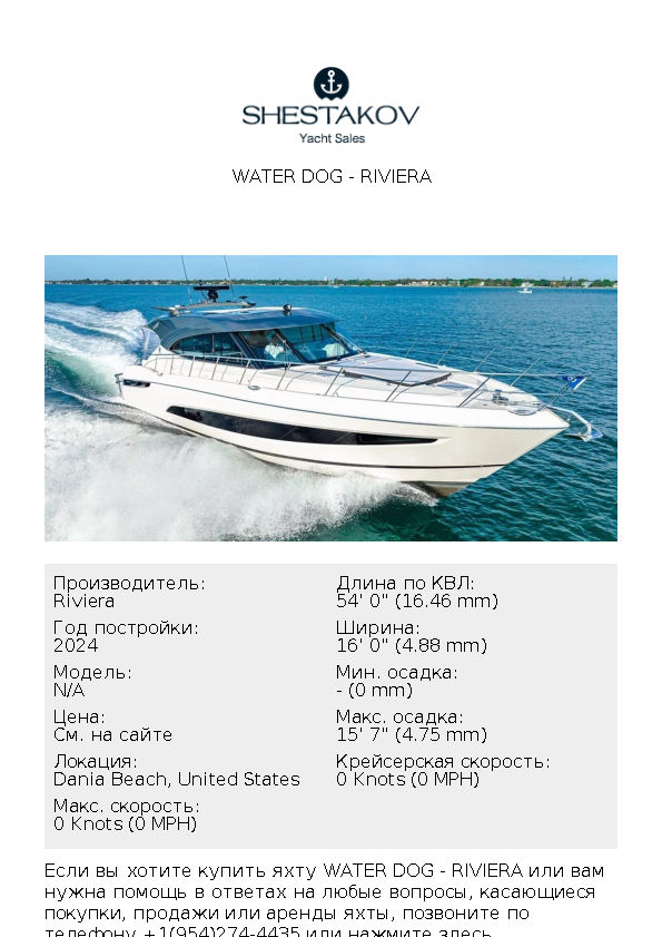 WATER DOG - undefined - 2024