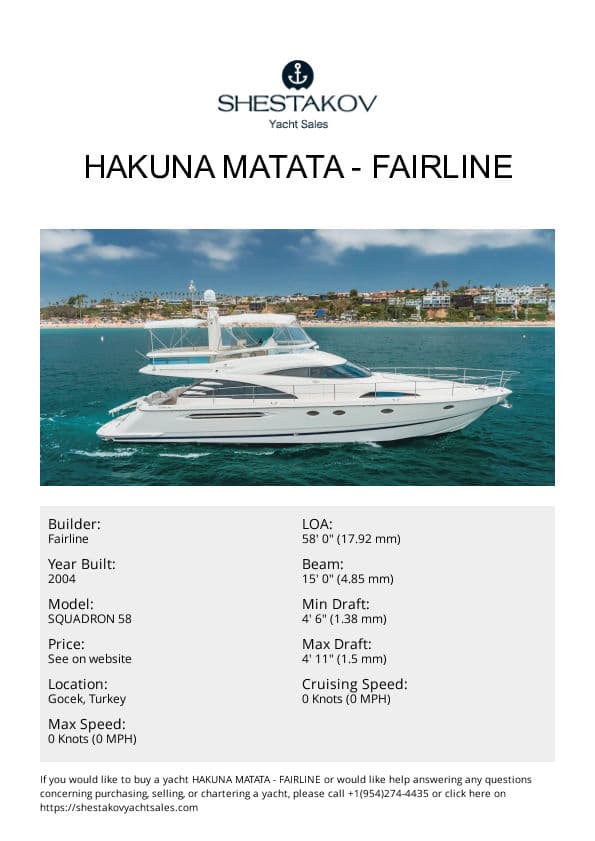 HAKUNA MATATA - SQUADRON 58 - 2004