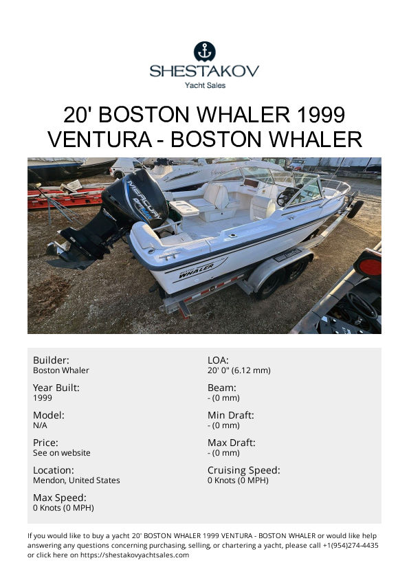 20' Boston Whaler 1999 Ventura - undefined - 1999
