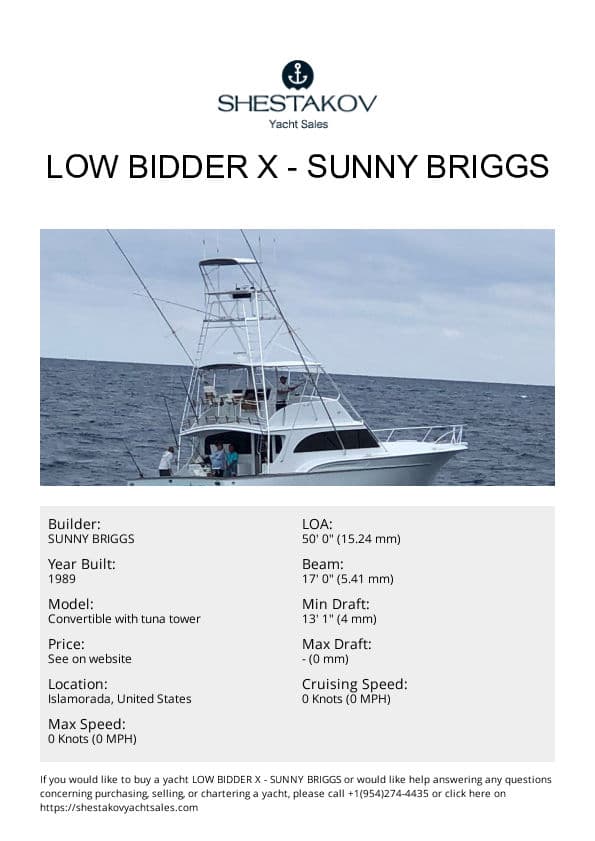 LOW BIDDER X - Convertible with tuna tower - 1990