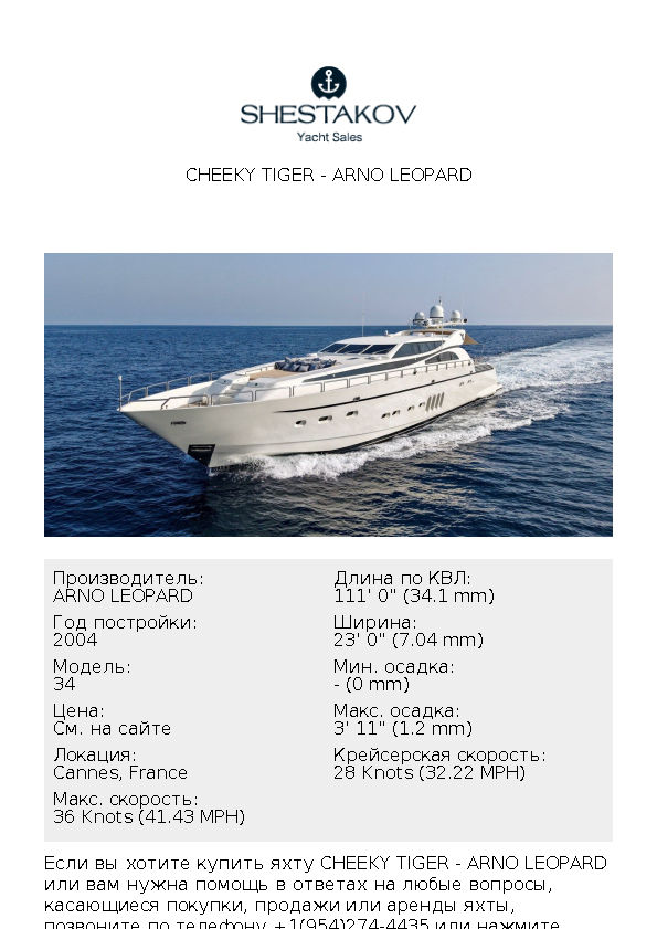 CHEEKY TIGER - 34 - 2004