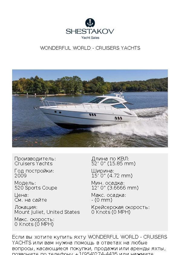 WONDERFUL WORLD - 520 Sports Coupe - 2009