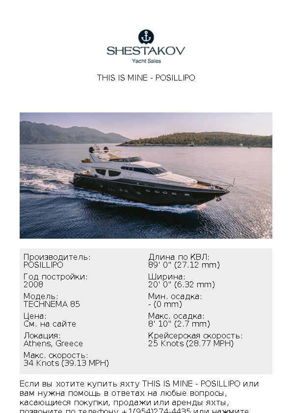 THIS IS MINE - TECHNEMA 85 - 2008