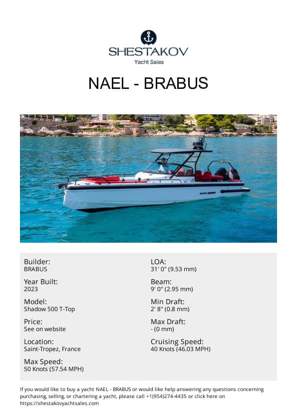 Nael - Shadow 500 T-Top - 2023