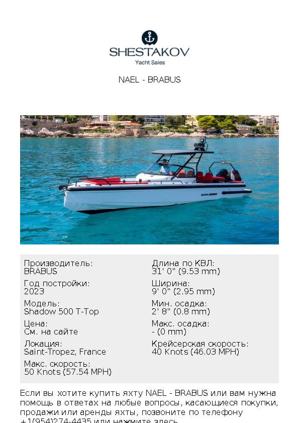 Nael - Shadow 500 T-Top - 2023