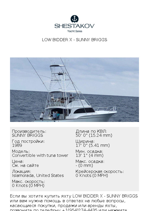 LOW BIDDER X - Convertible with tuna tower - 1990