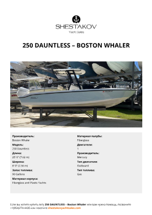 Boston Whaler - 250 Dauntless