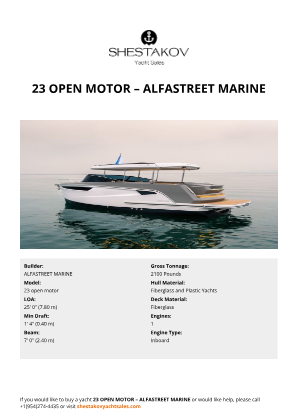 ALFASTREET MARINE - 23 open motor