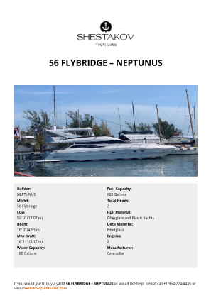 NEPTUNUS - 56 Flybridge