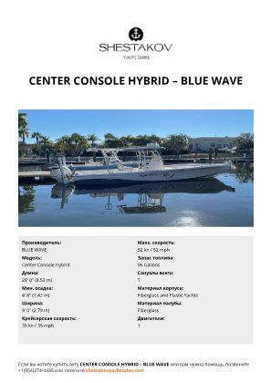 BLUE WAVE - Center Console Hybrid