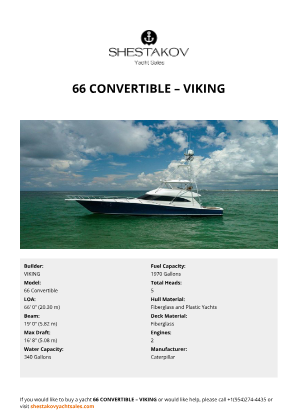 VIKING - 66 Convertible