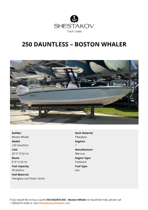 Boston Whaler - 250 Dauntless