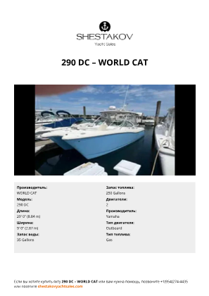 WORLD CAT - 290 DC
