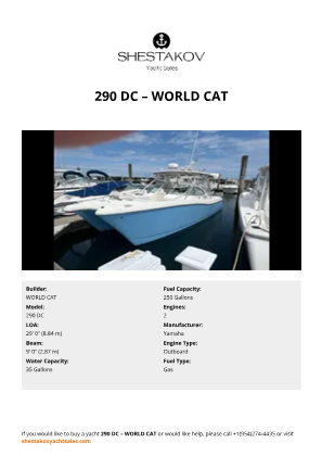 WORLD CAT - 290 DC