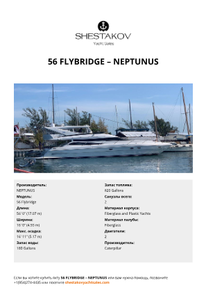NEPTUNUS - 56 Flybridge