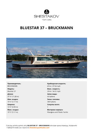 BRUCKMANN - Bluestar 37