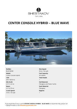 BLUE WAVE - Center Console Hybrid