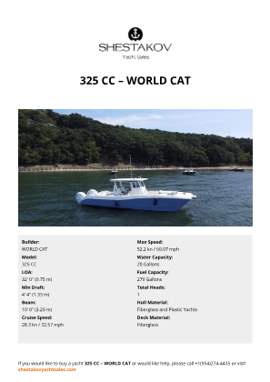 WORLD CAT - 325 CC