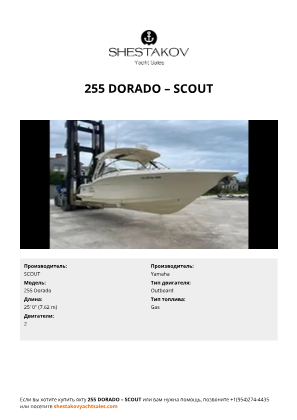 SCOUT - 255 Dorado
