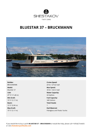 BRUCKMANN - Bluestar 37