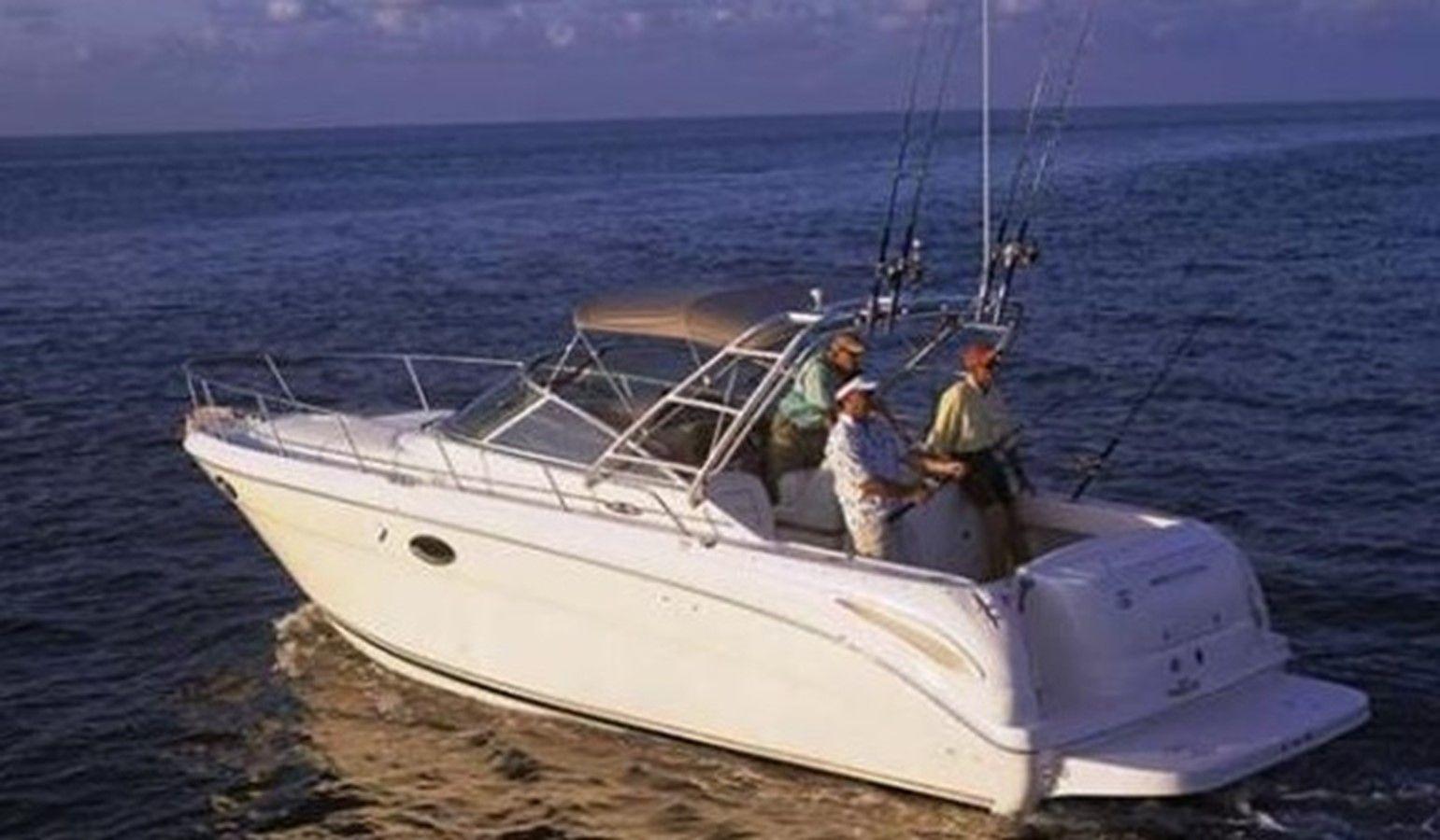 Sea Ray 290 Amberjack 290 Amberjack price