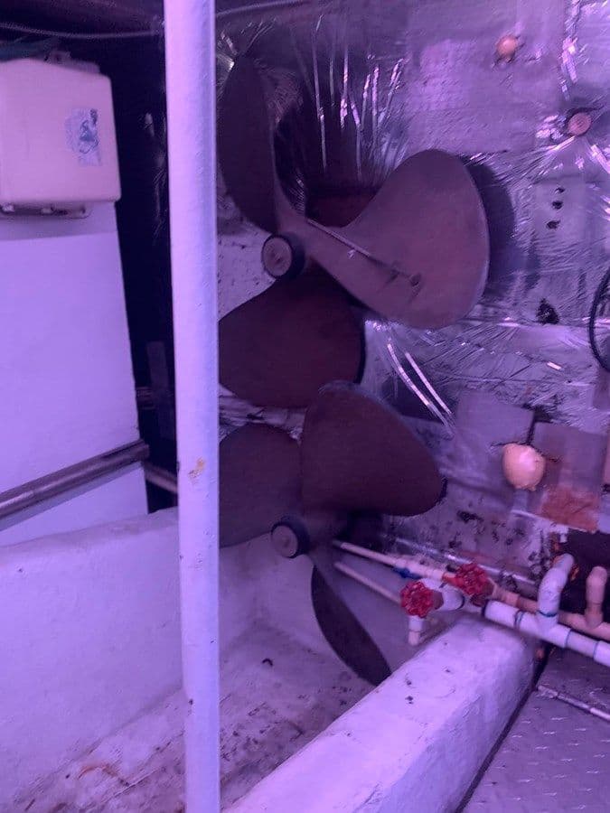 Ocean Hunter 1985 price