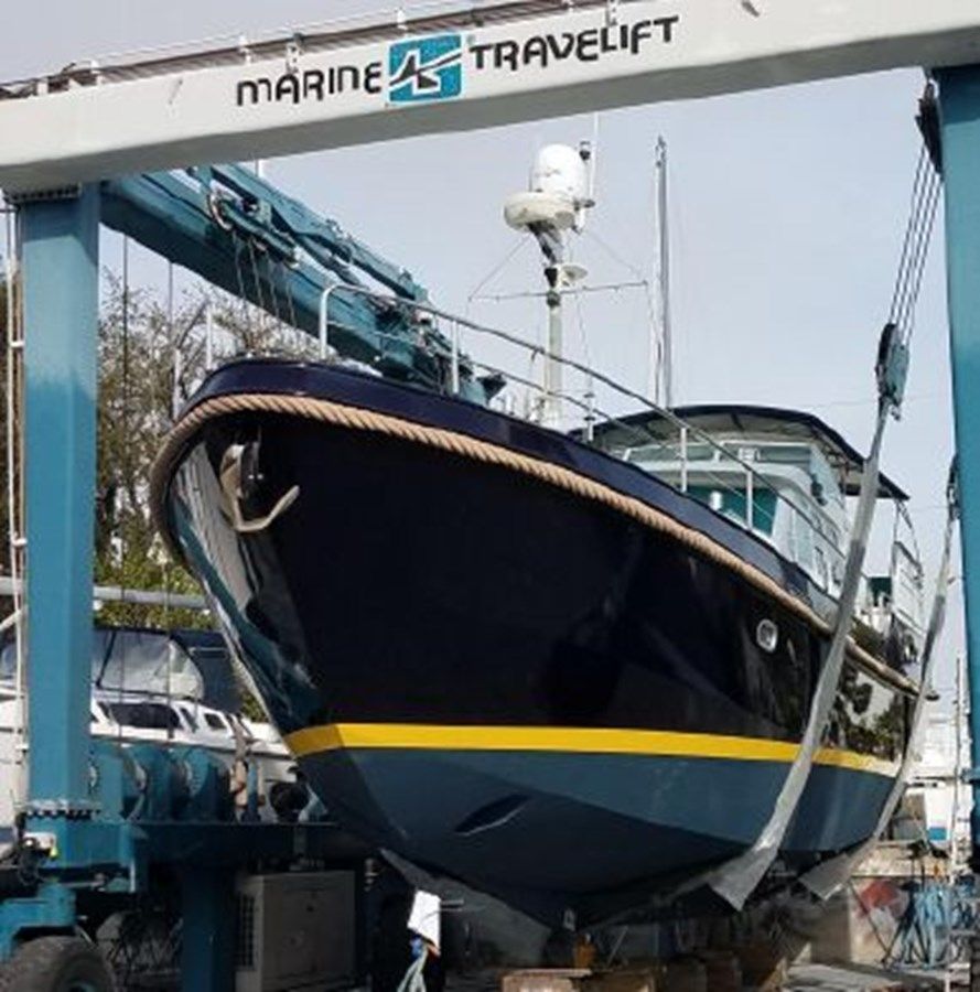 the best price on DOG'S LIFE