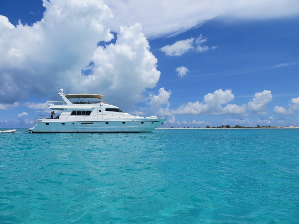 Лучшая цена на Sanity - VITECH