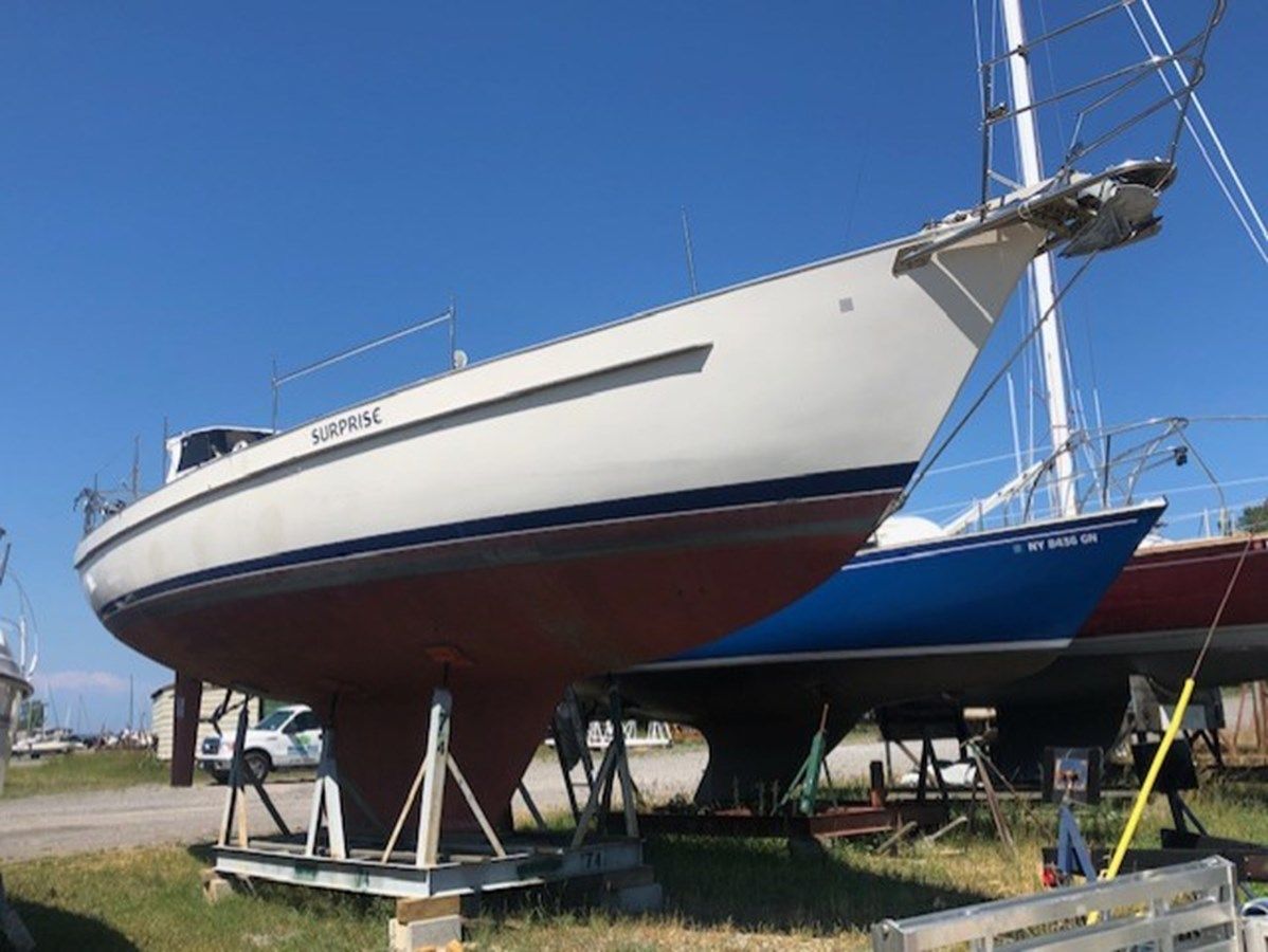 Купить Big Surprise - HINTERHOELLER