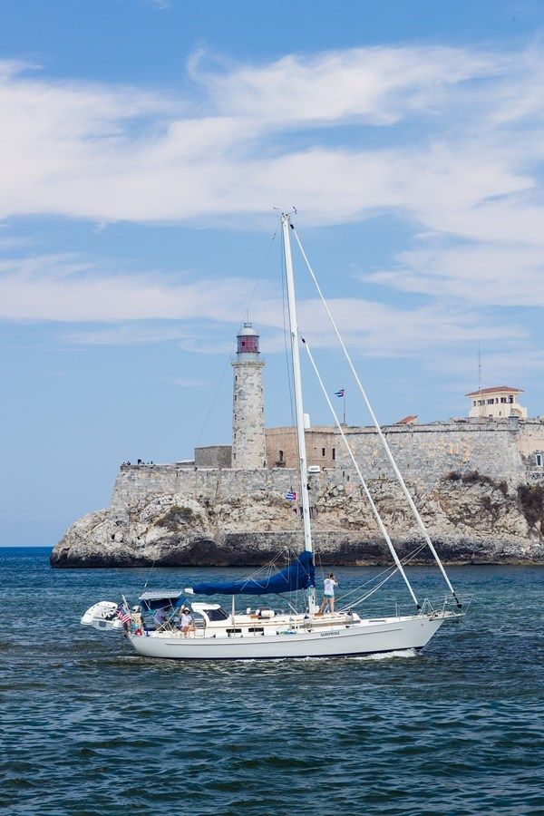 Купить Big Surprise 1986