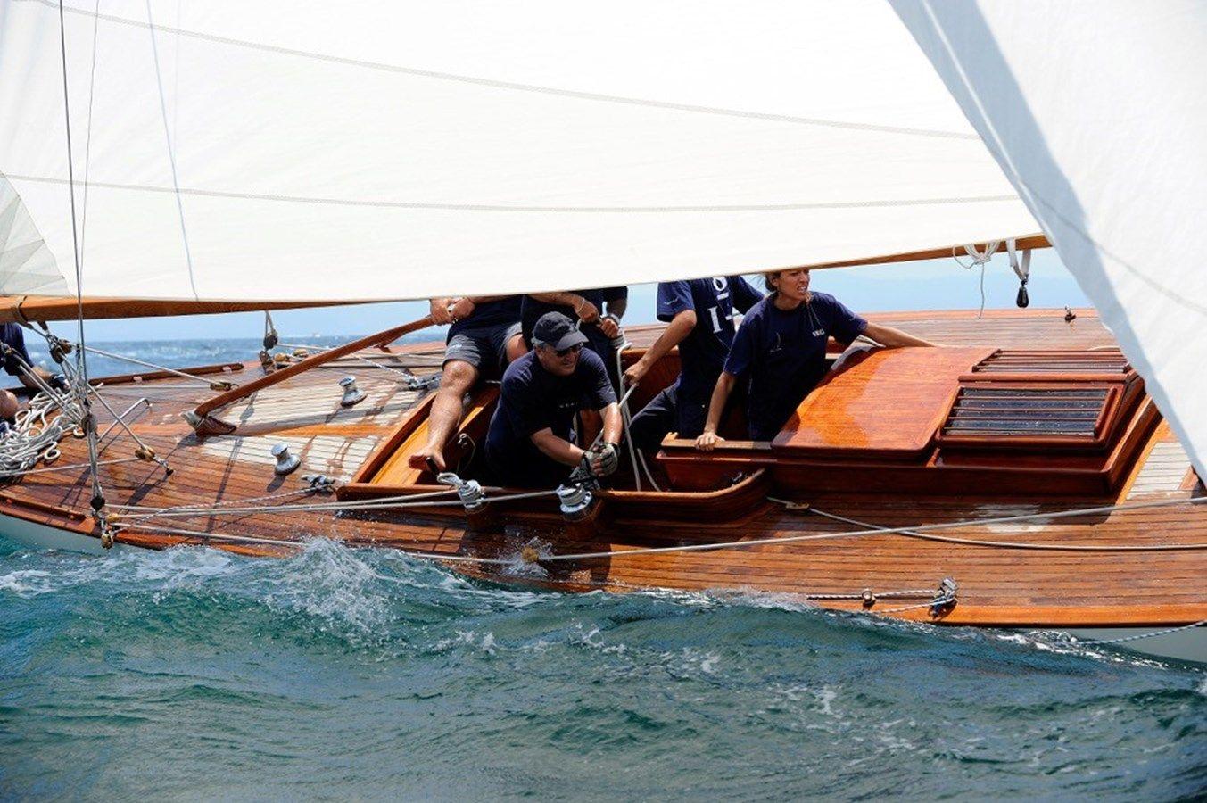 VEGA - Baglietto price