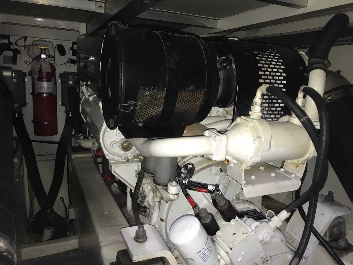 Купить Carpe Diem - VIKING