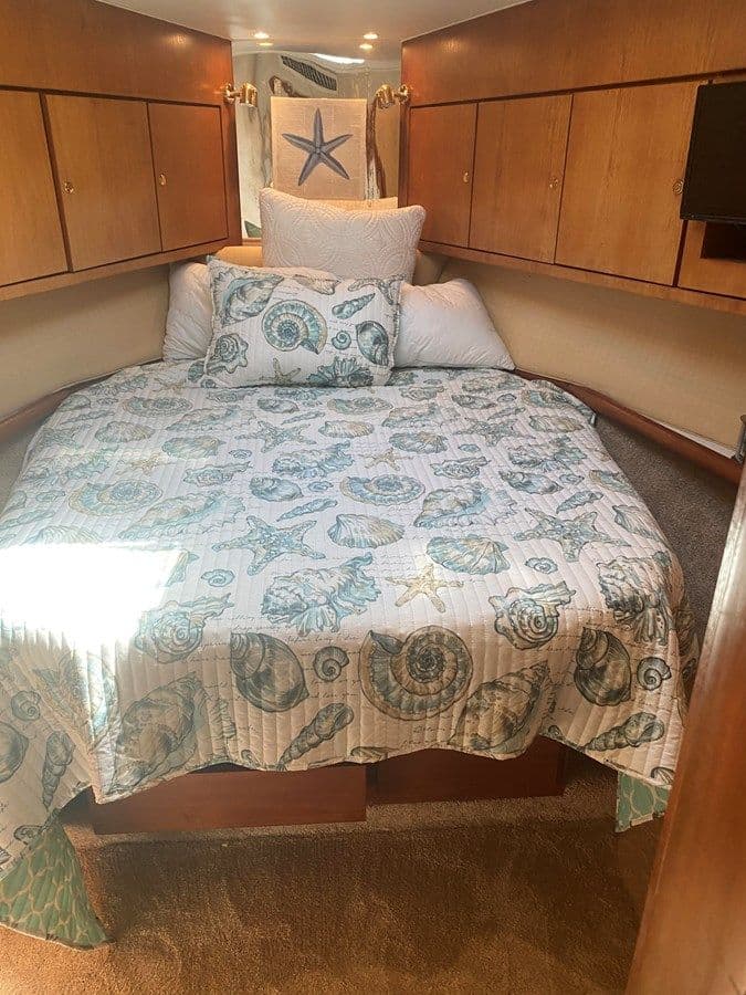 the best price on Reel Therapy Super Sport