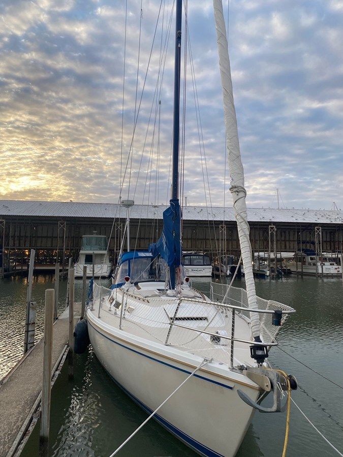 Лучшие предложения покупки яхты Far Side