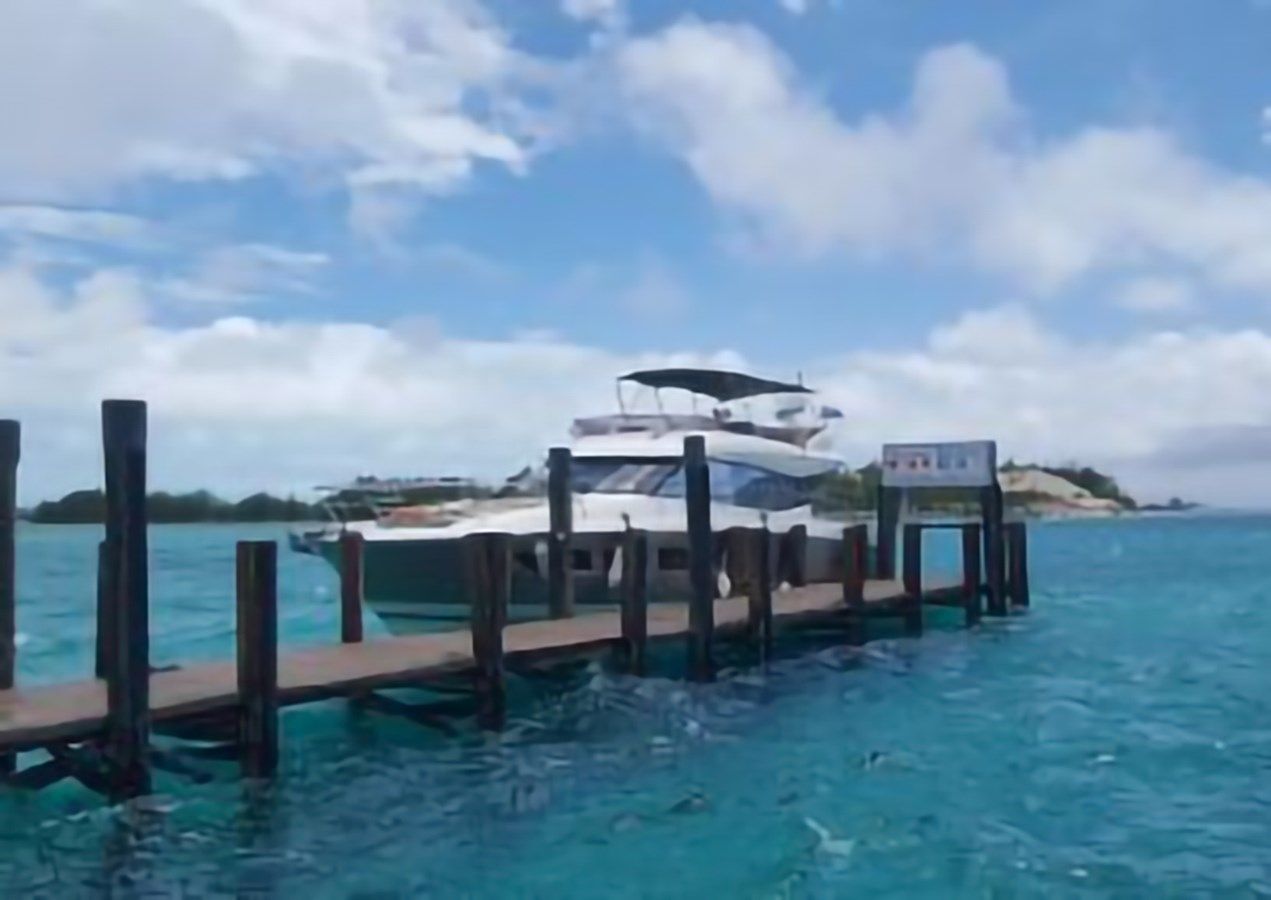 Лучшая цена на Proteus